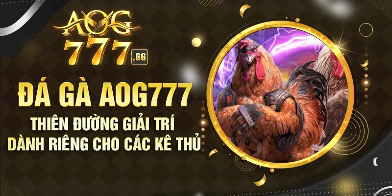 Chọi gà AOG777 khiến nhiều người mê mẩn