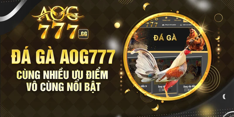 Đá gà Aog777 với nhiều ưu điểm nổi bật